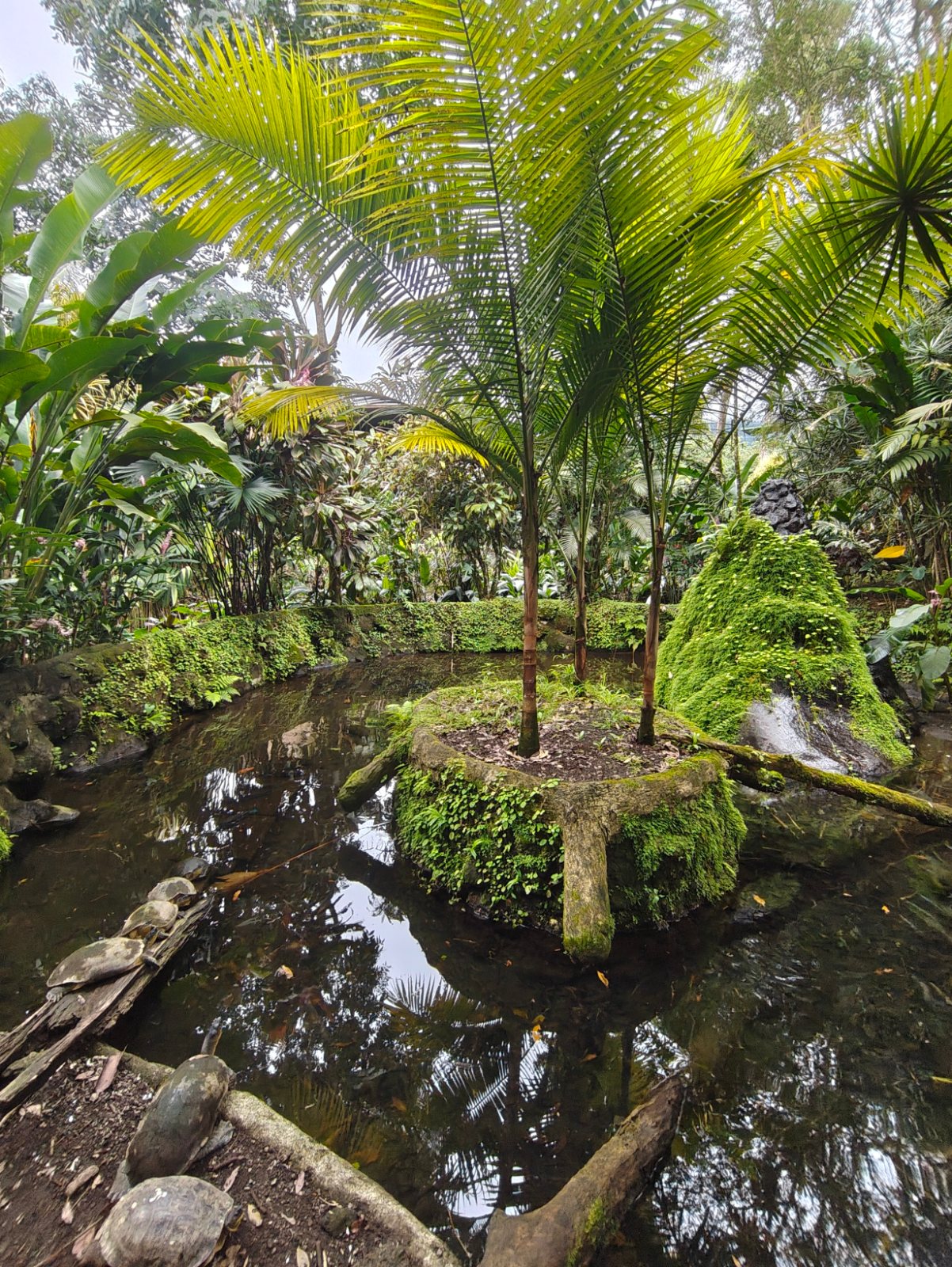 Los Lagos Termales, park in Arenal & La Fortuna (photo 3 of 9)