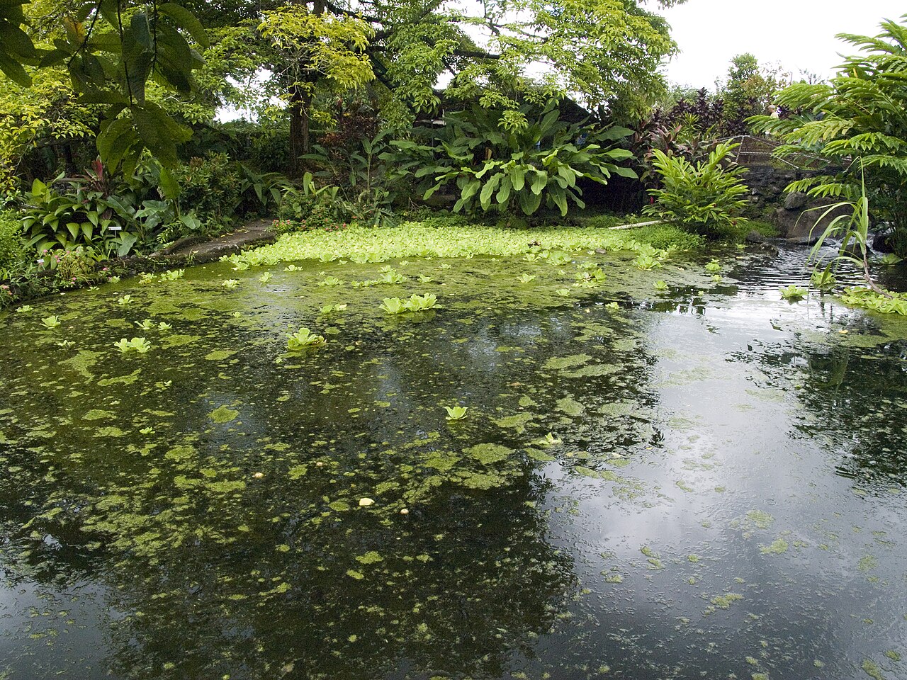 Los Lagos Termales, park in Arenal & La Fortuna (photo 9 of 9)